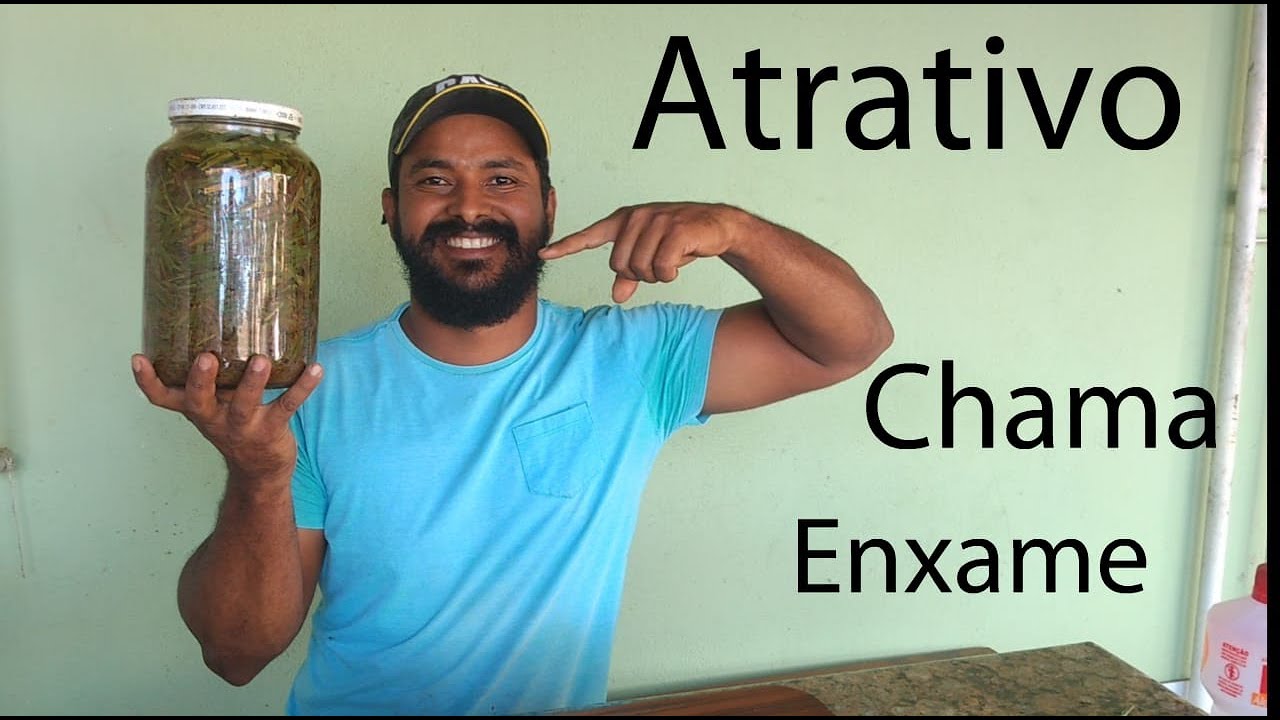como fazer ATRATIVO / chama Enxame de abelha APIS🐝🐝🐝🐝🐝