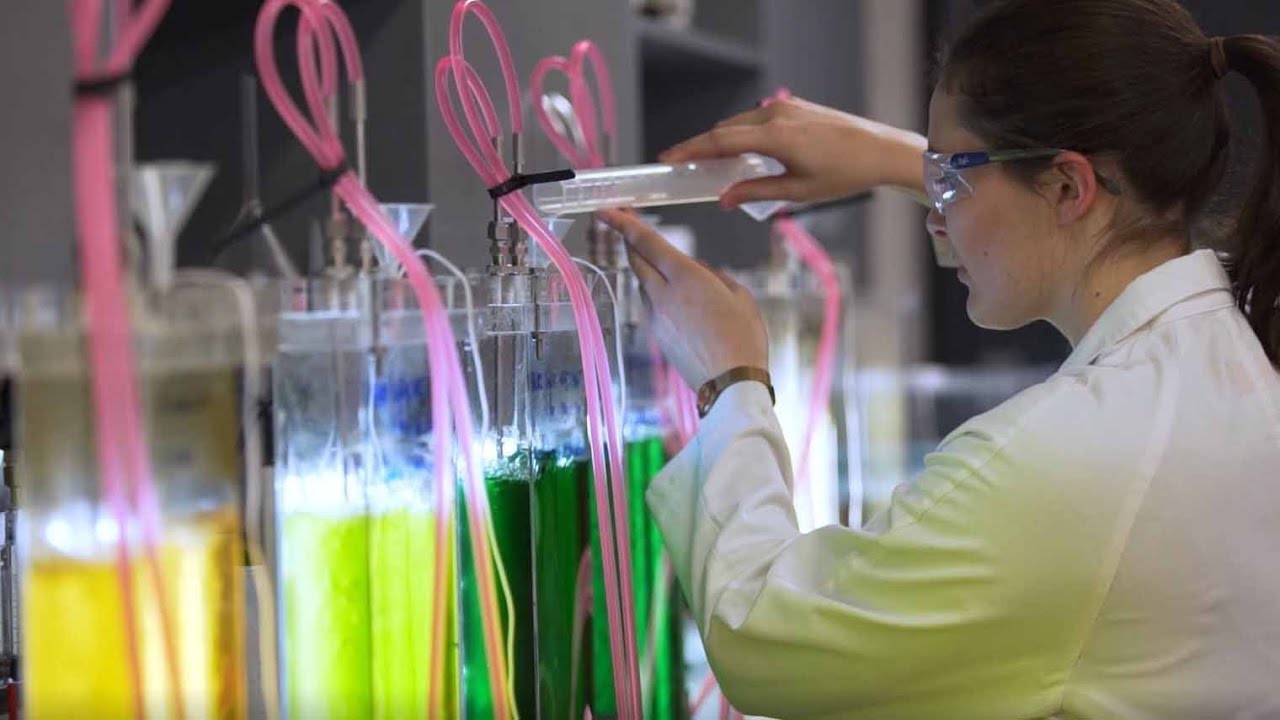 Bachelor of Engineering Honours (Chemical and Biomolecular), University of Sydney