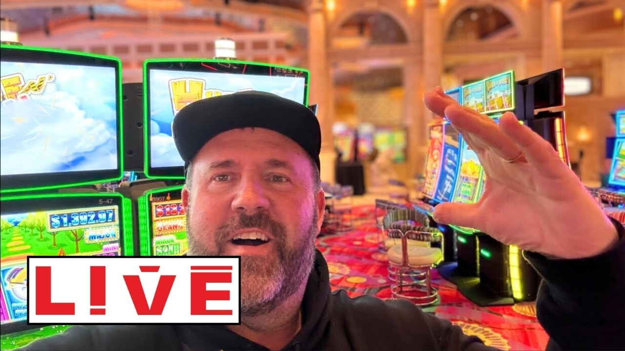 Mayor Solo LIVE! Casino Carisa
