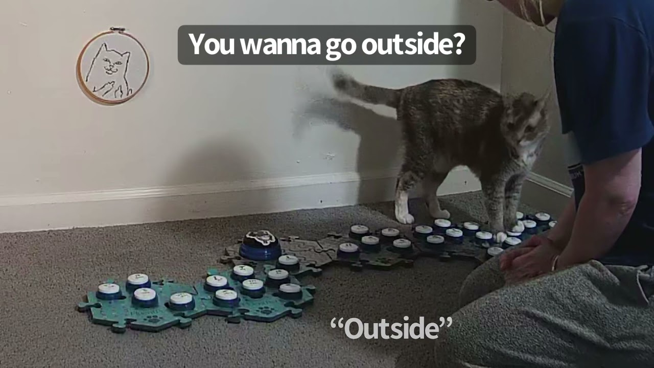 Water Outside, Ugh!