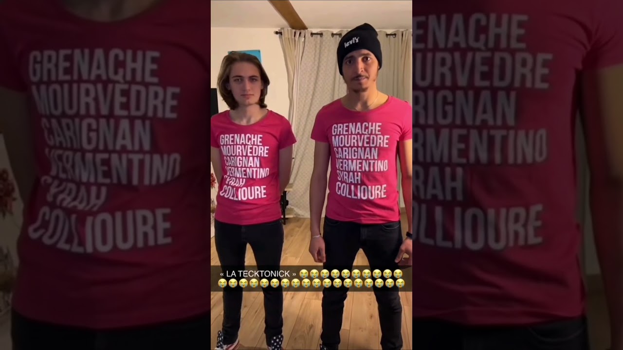 après danse avec les stars. c'est danse avec la chienneté 🕺🕺👯👯‍♂️👯‍♀️