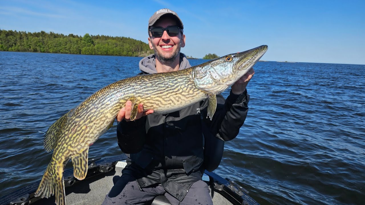 Pike fishing, Lake Vänern, Ålmå, Sweden