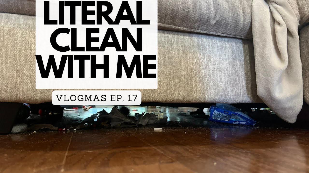 Uncovering the Nasty Surprises Hiding Under Your Couch