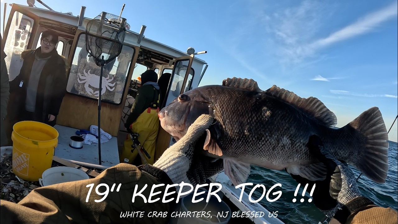 Отличный день рыбалки на таутога с пацанами 🎣 - White Crab Charters, Нью-Джерси 🦀 часть 2