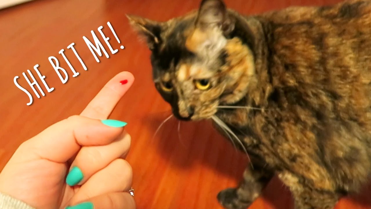 SHE BIT ME!