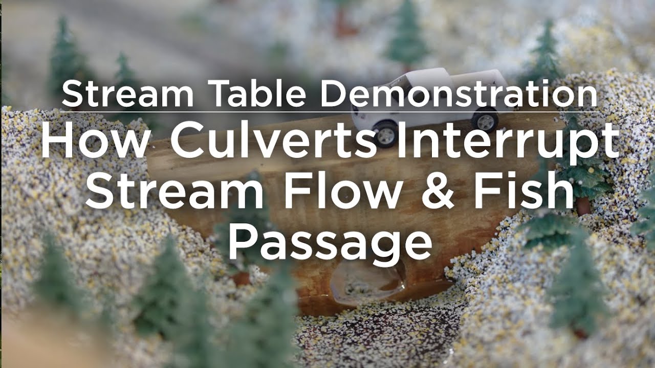 How Culverts Interrupt Stream Flow & Fish Passage | Stream Table Demonstration