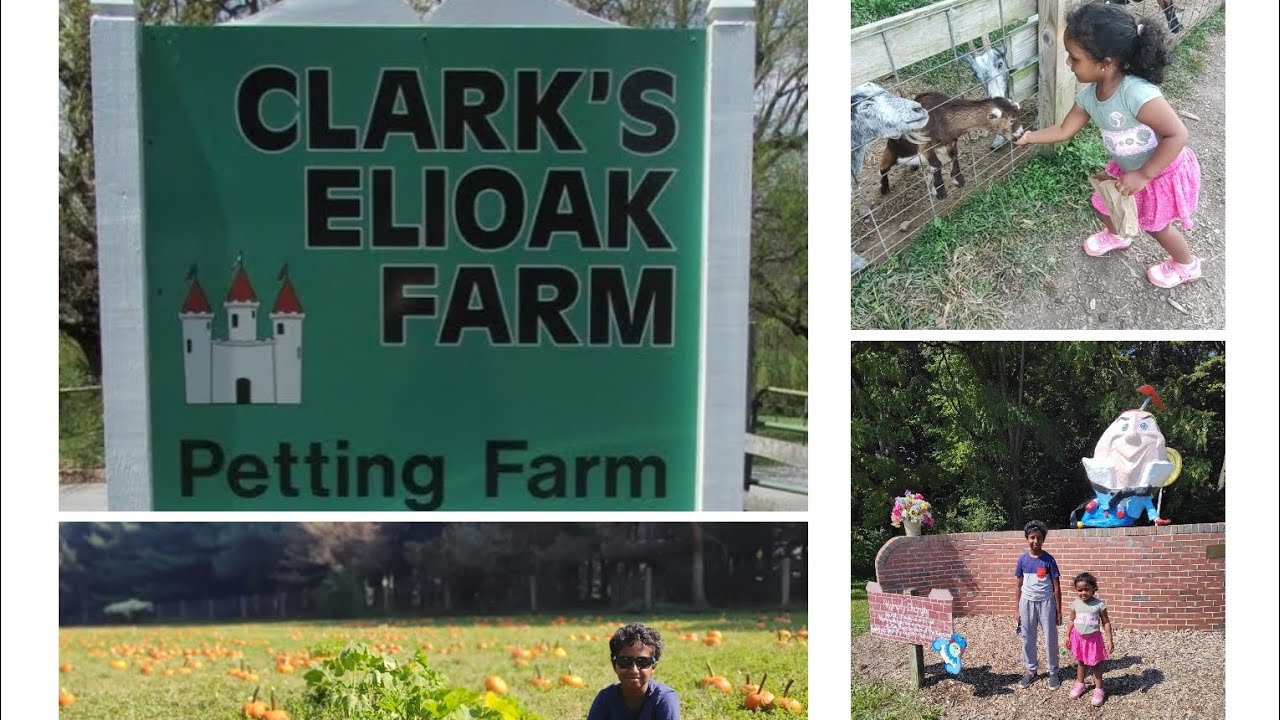 Clark's Elioak Farm - Petting farm - Vlog
