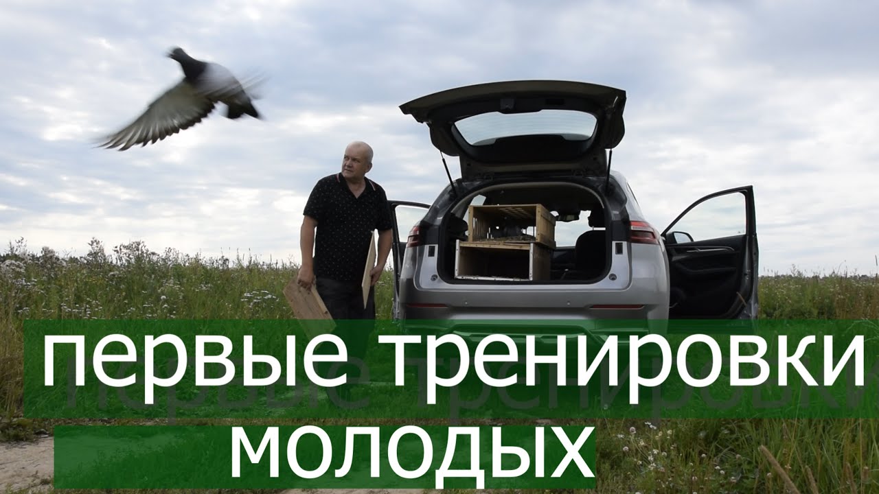 НАЧАЛО ТРЕНИРОВОК 2023. Молодые голуби в небе