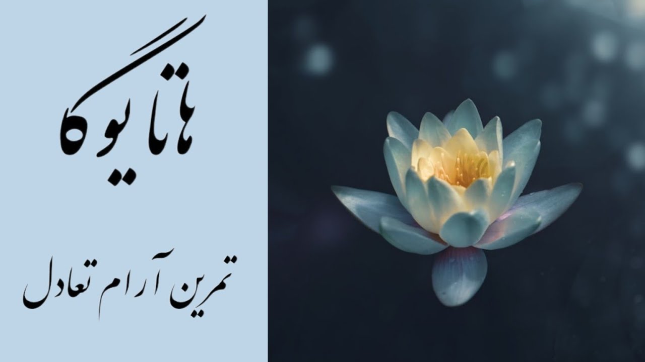 تمرین روزانه یوگا | بازگشت به جریان طبیعی زندگی