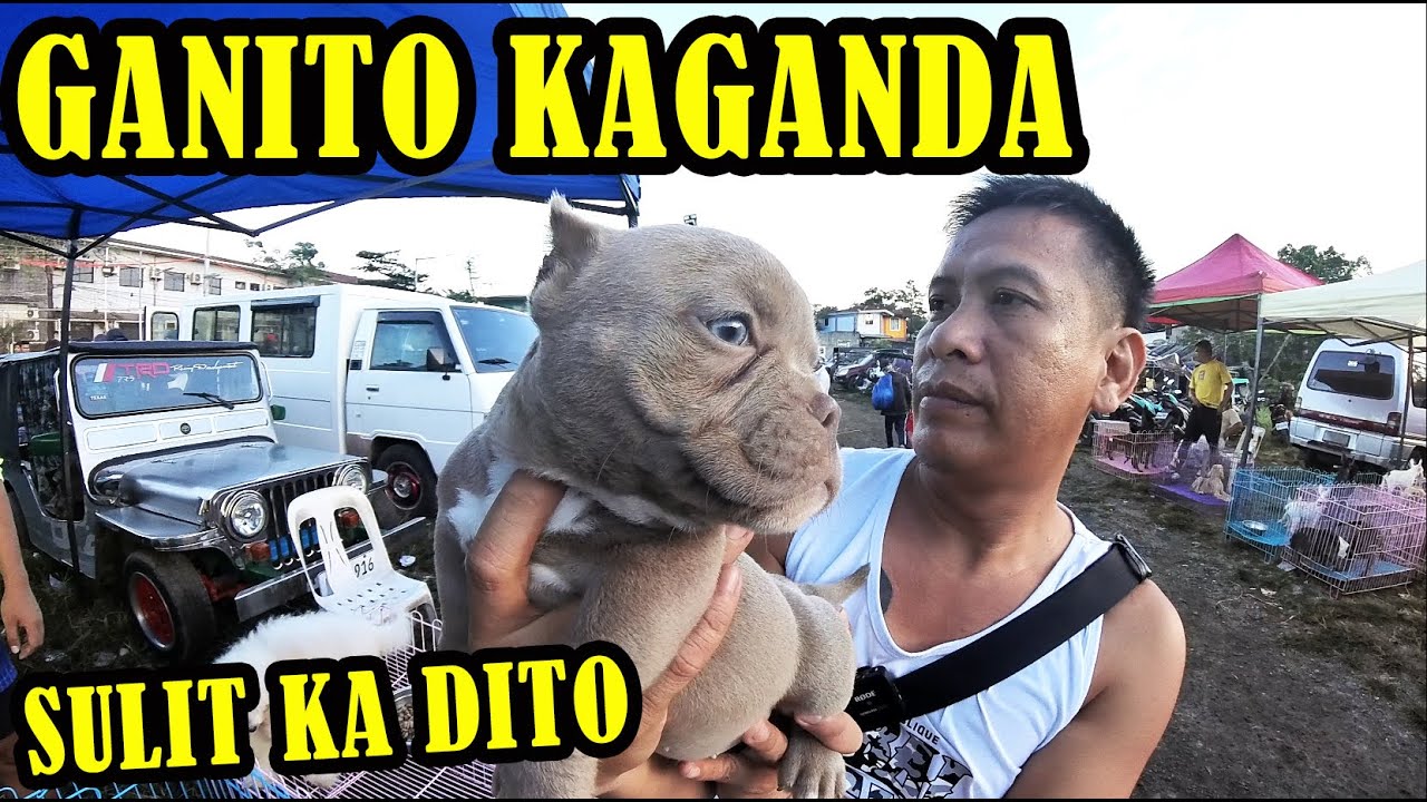 DITO MAGANDA DUMAYO SIGURADONG MAY MAUUWI KA NA PWEDE MO MAALAGAAN.