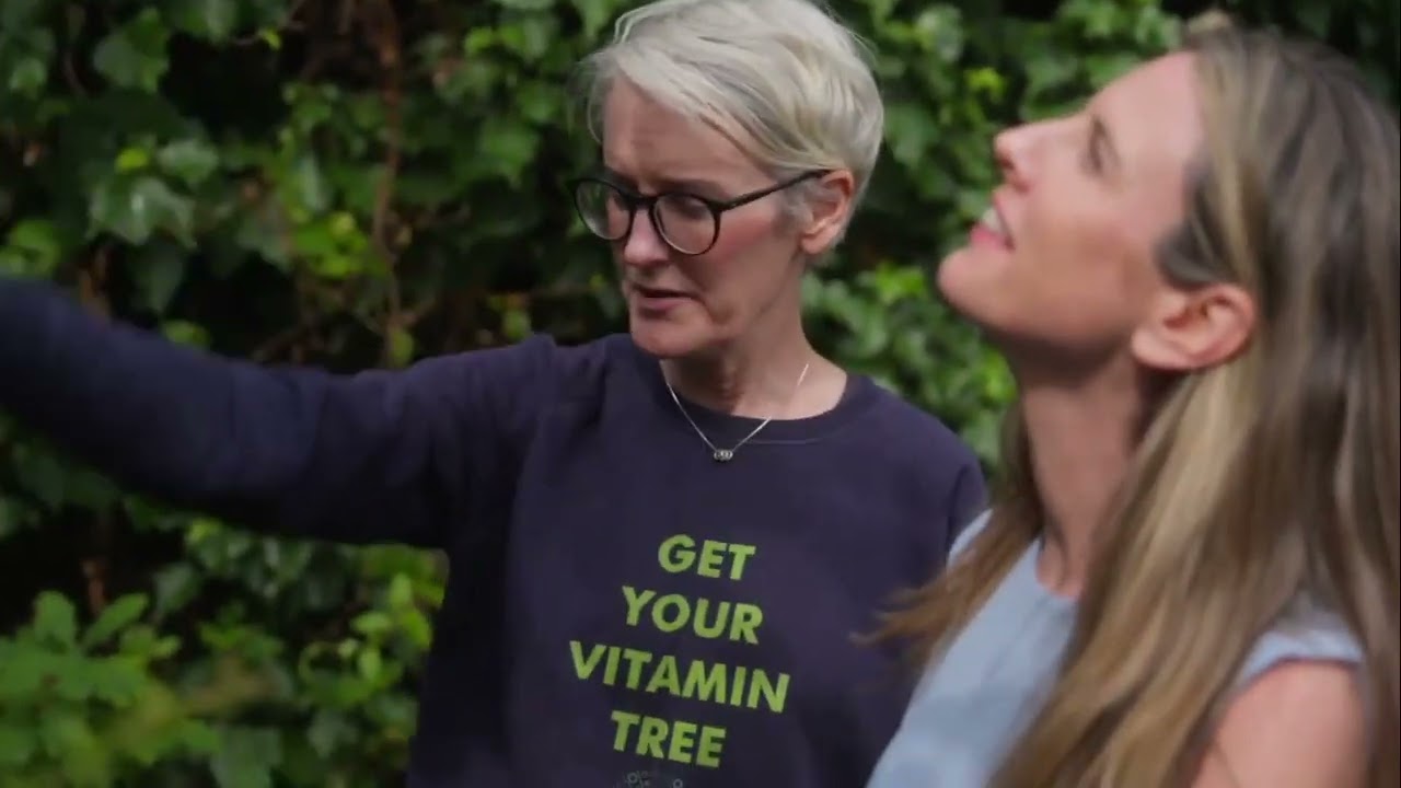 The Power of Trees: Pocket Forests on RTÉ’s Heated 🌳✨