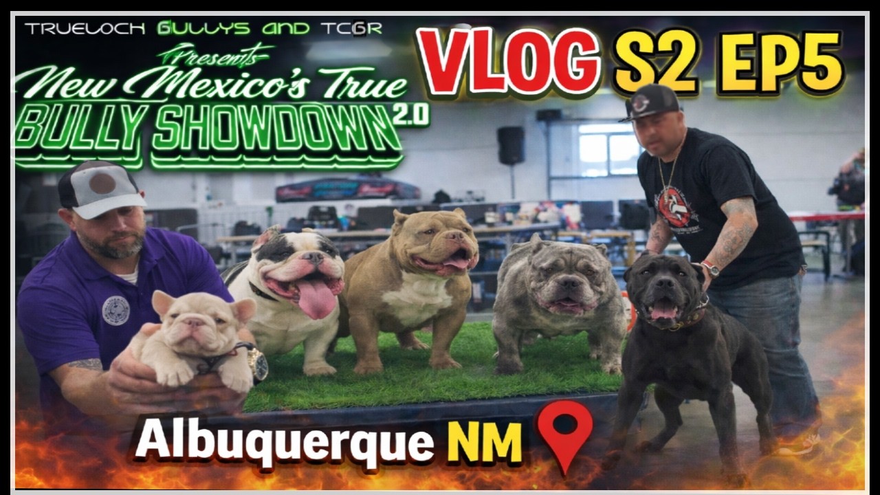 S2 EP5- NEW MEXICO'S TRUE BULLY SHOWDOWN 2.0- Albuquerque NM