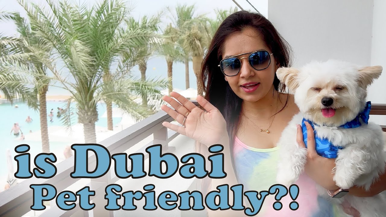 Is Dubai pet friendly?
