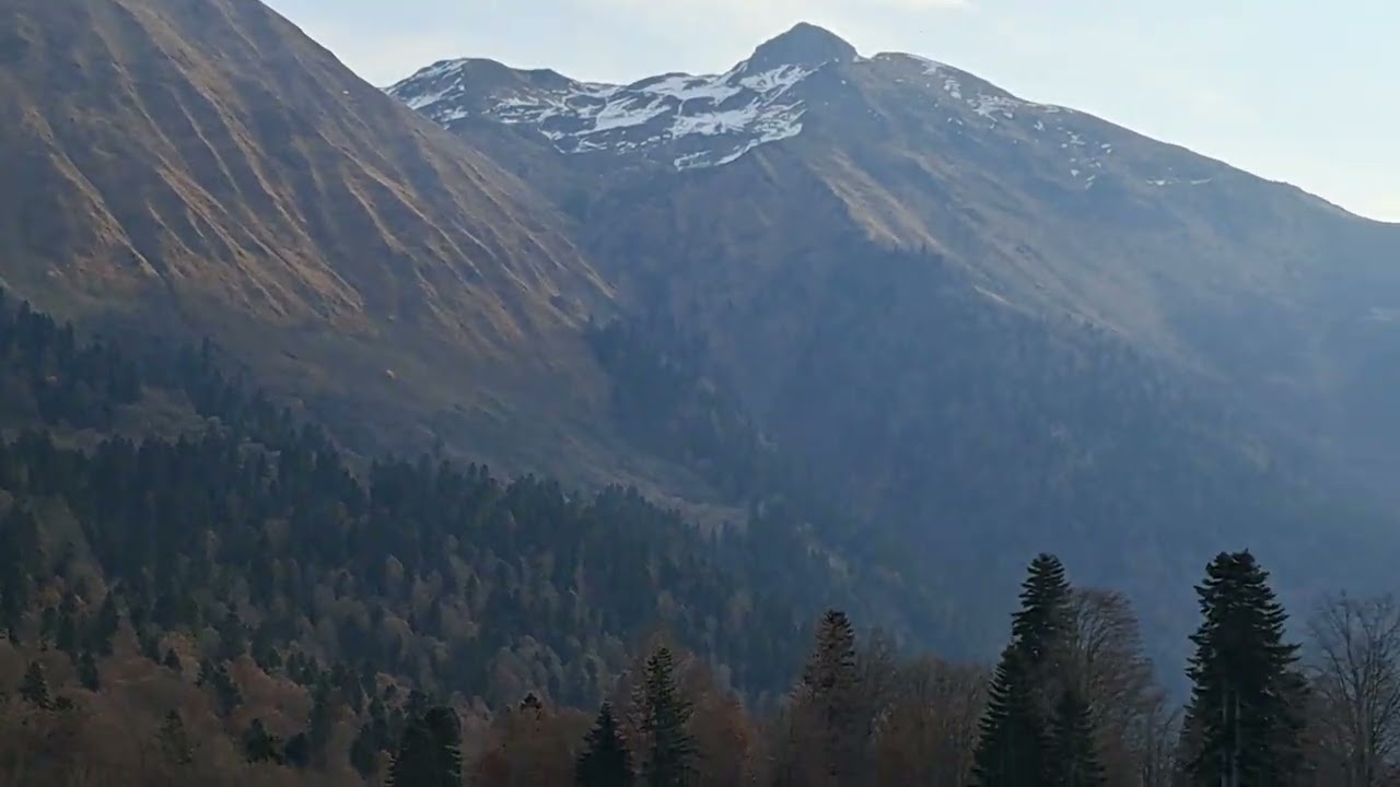 йога))