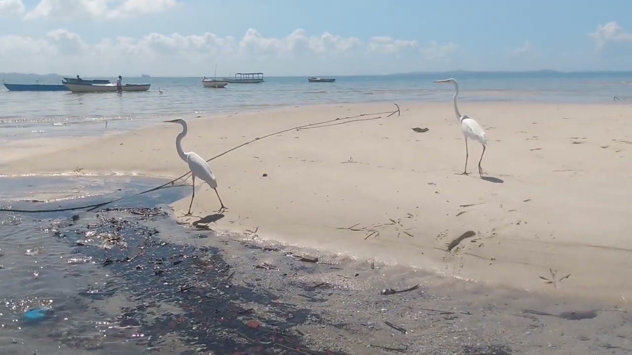 Venham conhecer às praias  mais lindas da Bahia 