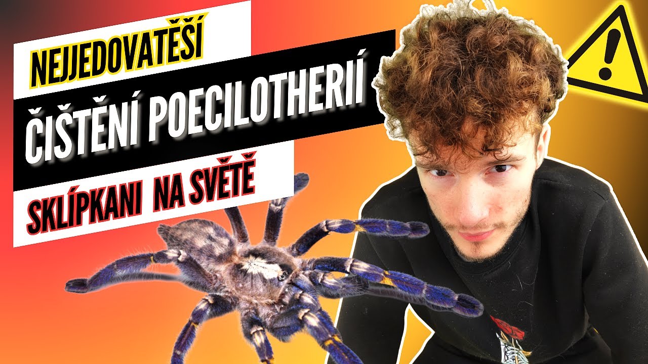ČISTÍME NEJJEDOVATĚJŠÍ SKLÍPKANY SVĚTA!