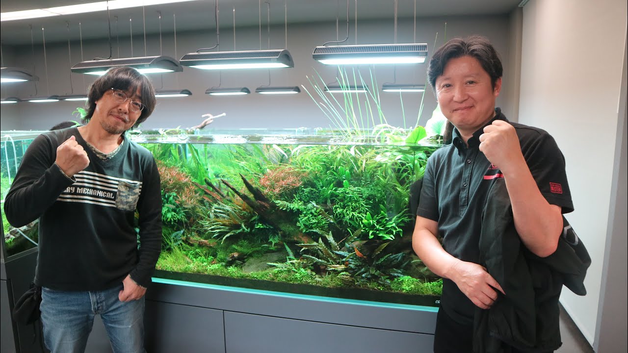NATURE AQUARIUM GALLERY Welcome Day