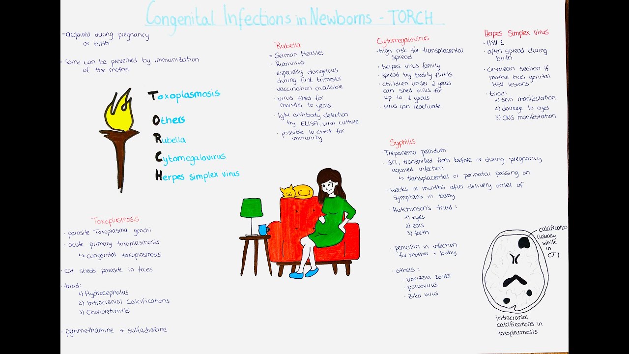 Congenital Infections in Newborns - TORCH