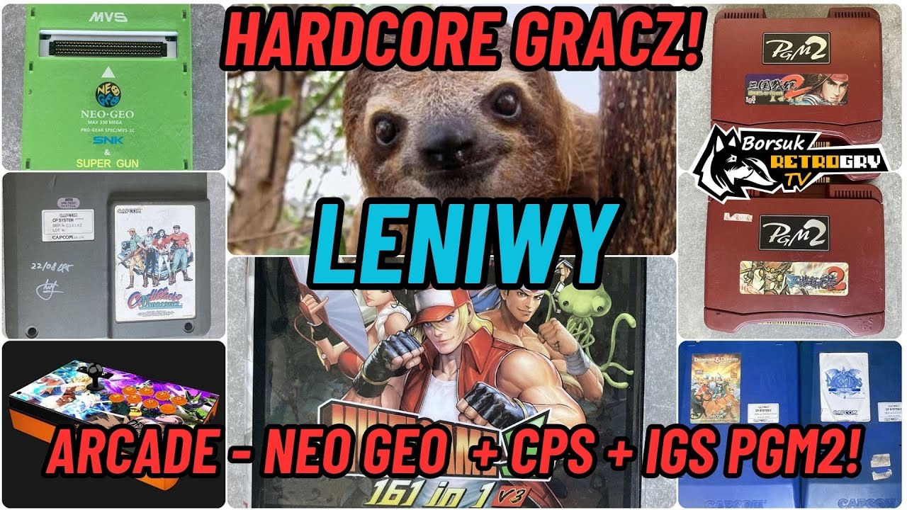 Borsuk Retro Gry TV: AUTOMATY ARCADE - Leniwy Pokazuje Swoje Gry ARCADE!