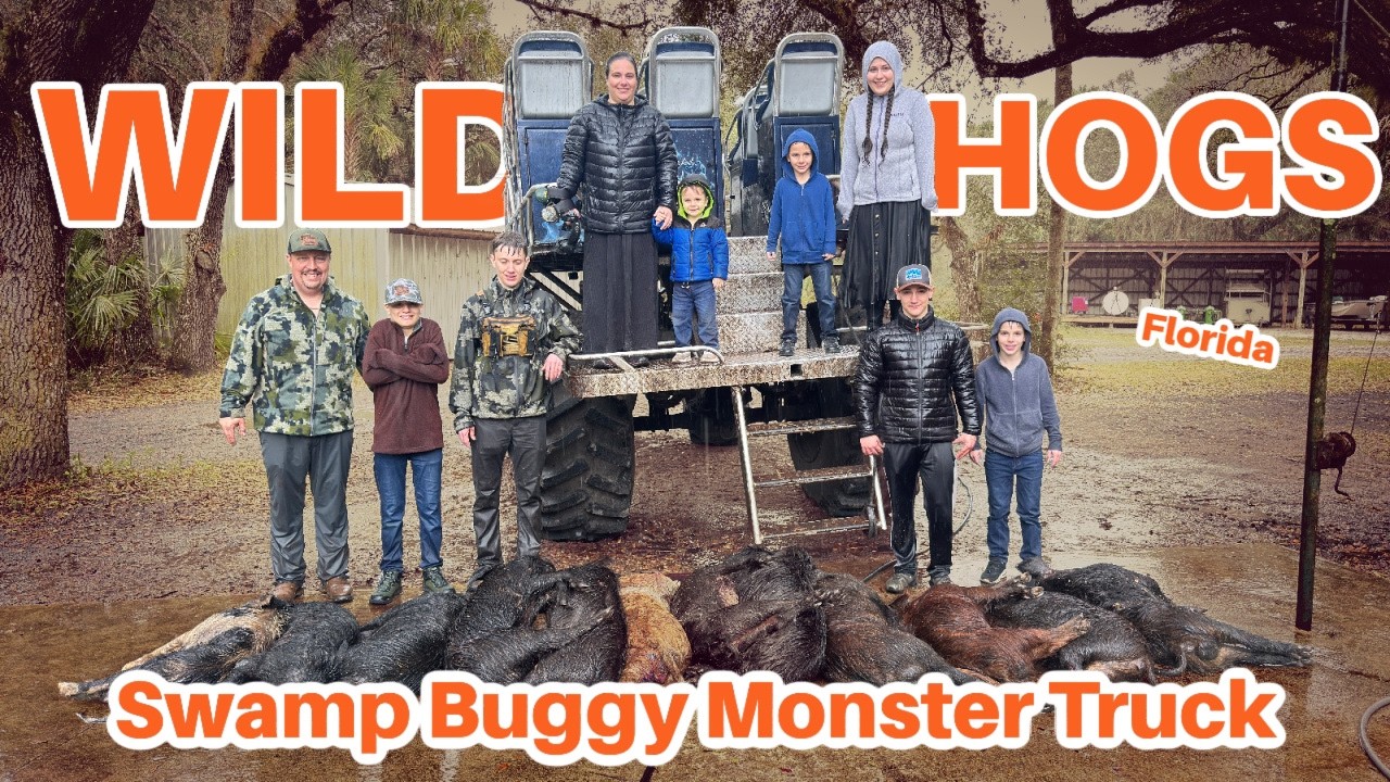 Wild Hog Hunting in Florida From a Swamp Buggy Monster Truck