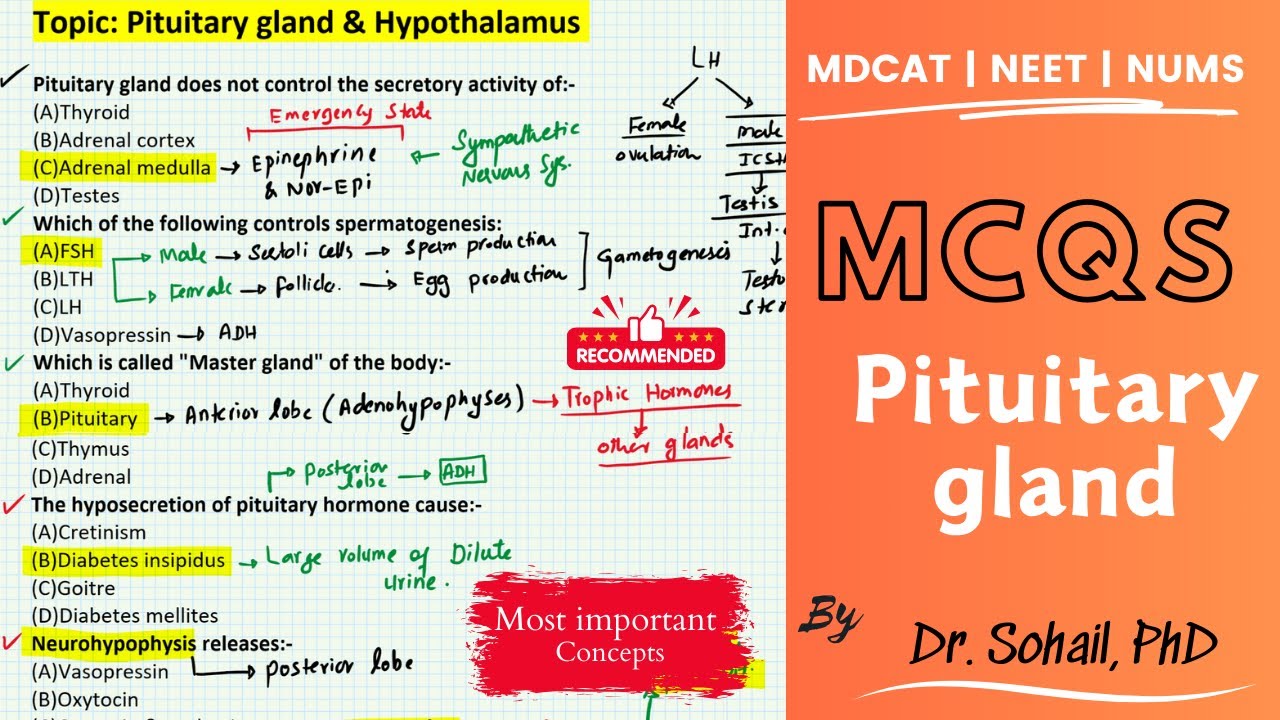 MCQS on Pituitary gland & Hypothalamus | MDCAT | JSMU | ETEA | BUMHS | NUMS | NEET