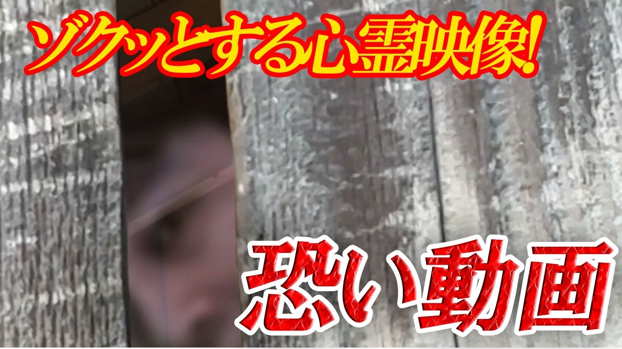 【投稿心霊映像】ゾクッとする心霊映像！恐い動画