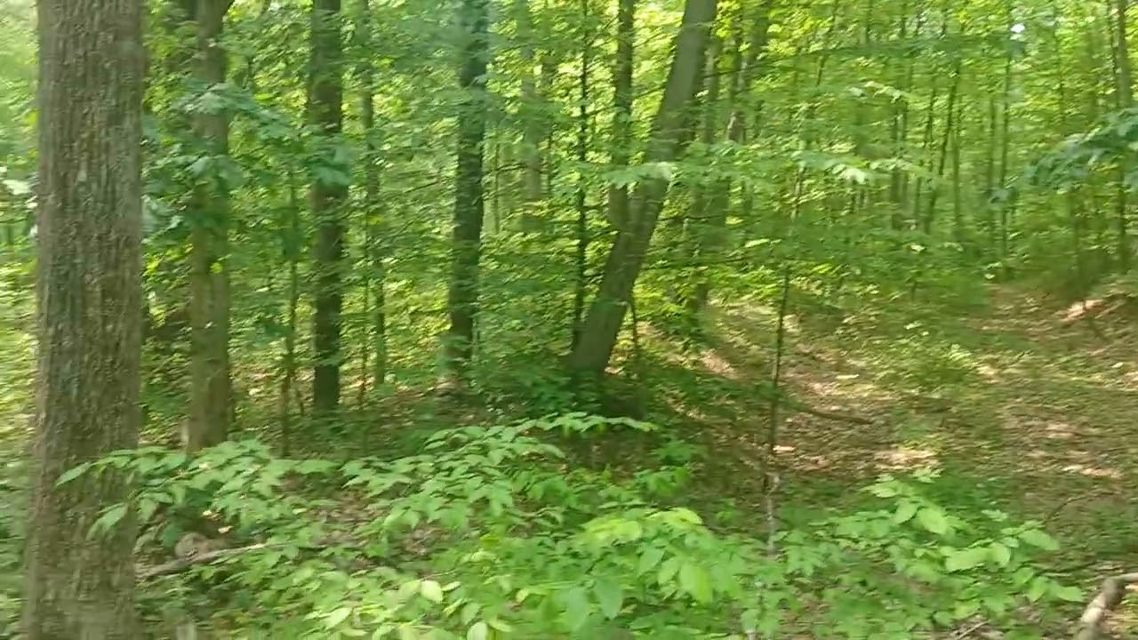 History on Plainfield Twp Trail, Northampton County Pa