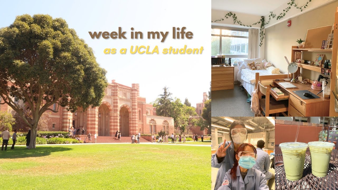 realistic college week in my life at UCLA: dining halls, lectures, studying, dorming