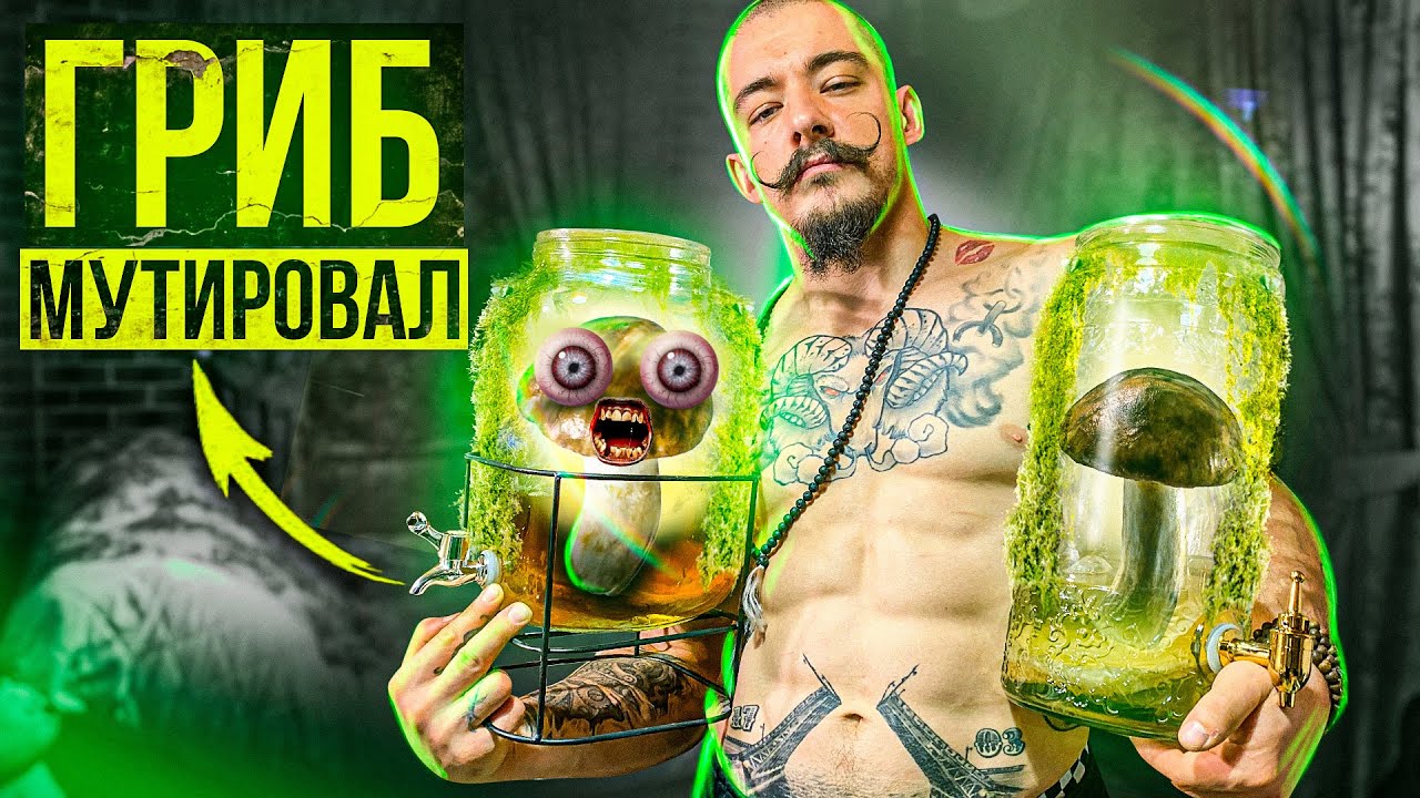ПОСЛЕДНЕЕ ВИДЕО С ЧАЙНЫМ ГРИБОМ, ЕГО БОЛЬШЕ НЕТ...
