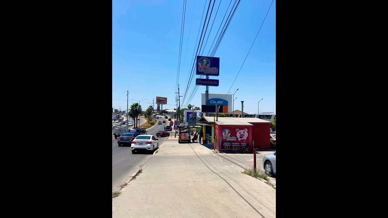 La famosa colonia Buenos Aires en Tijuana ❤️🦓🔥