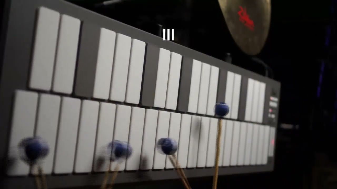 Polarity - For MalletStation/KAT (With Video)