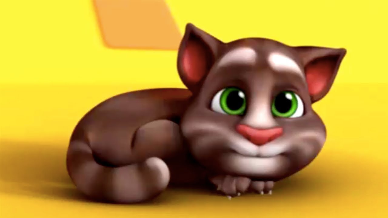 Talking Tom - Cans 💚 Super Toons TV - Best Cartoons