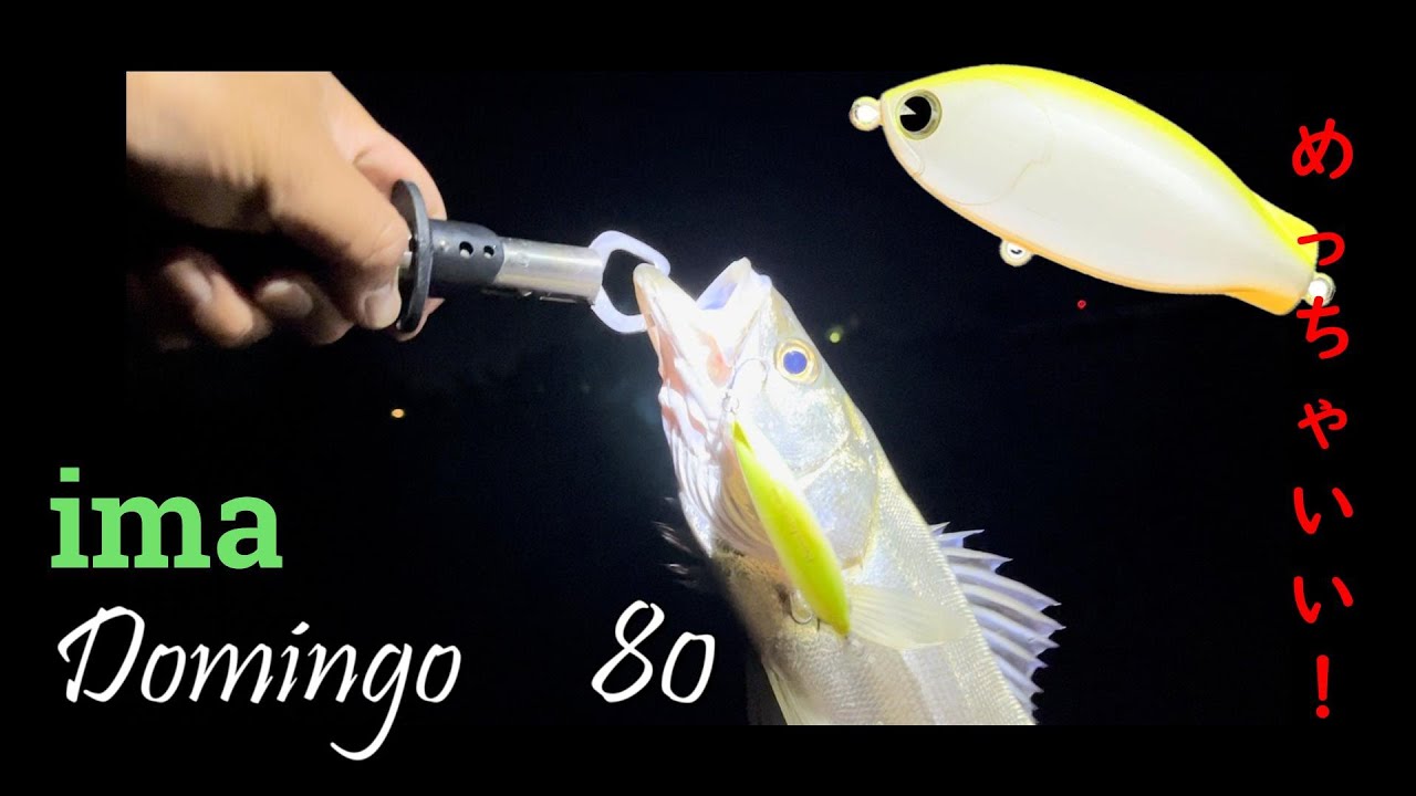 ima　Domingo80 最高のルアーだった！