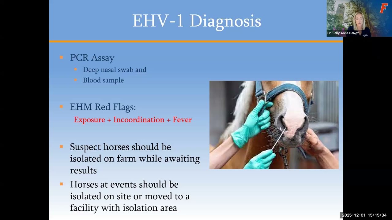 December 2025 USEF Webinar on EHV-1 and Biosecurity
