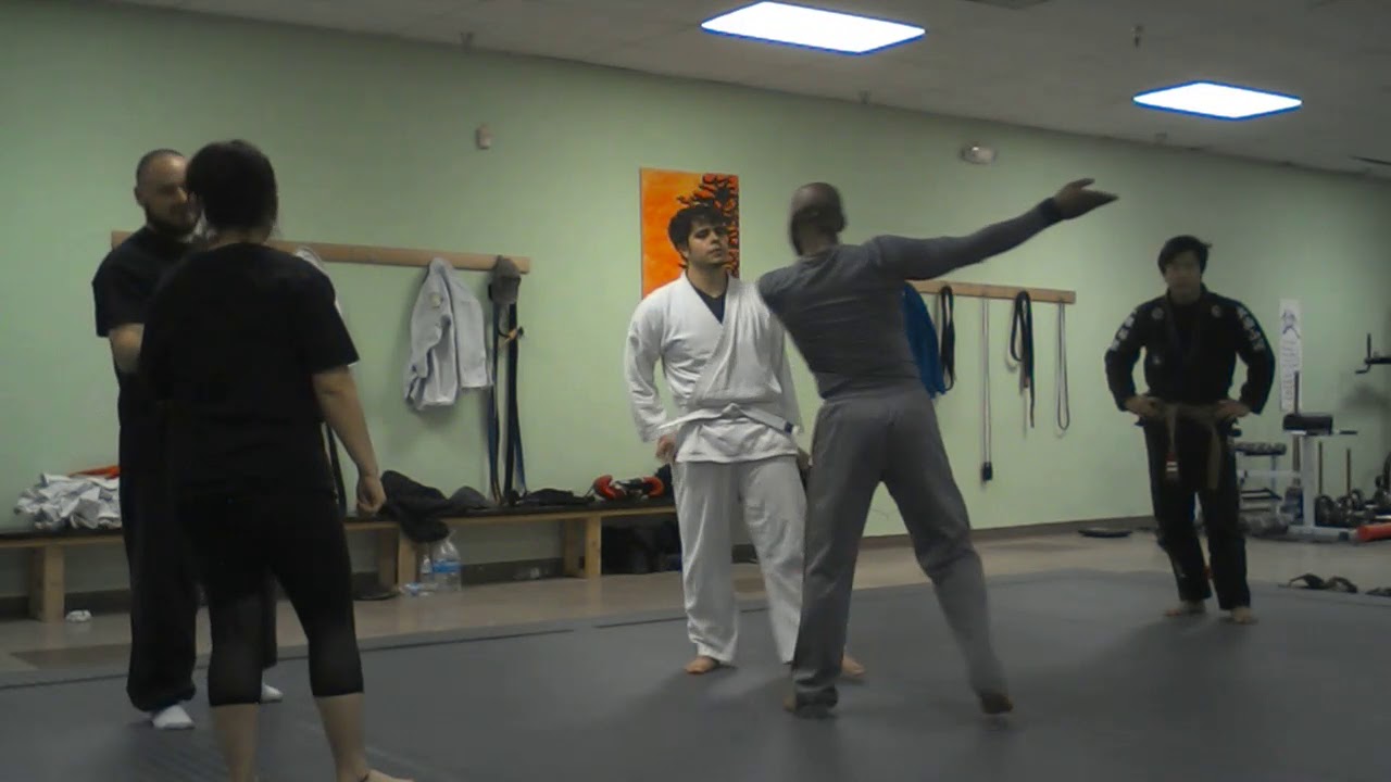 Taijiquan Applications of Snake Creeps Down