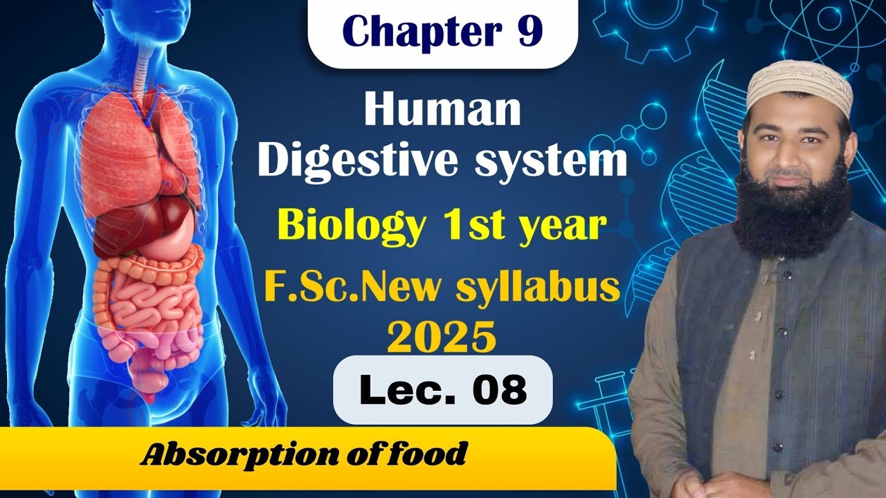 Absorption of food | Human digestive system | Chapter 9| F.Sc. 1st Year Biology | Lec# 8