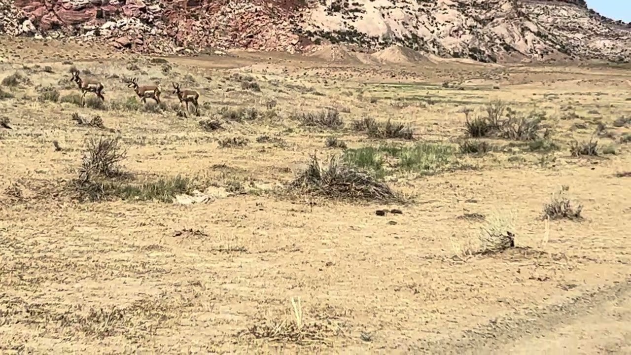 75. Arches off roading 