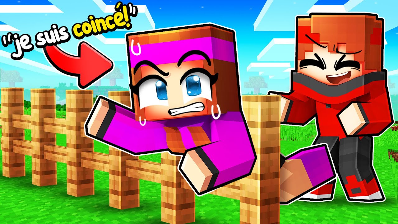J’ai coincé ma FANGIRL sur Minecraft !