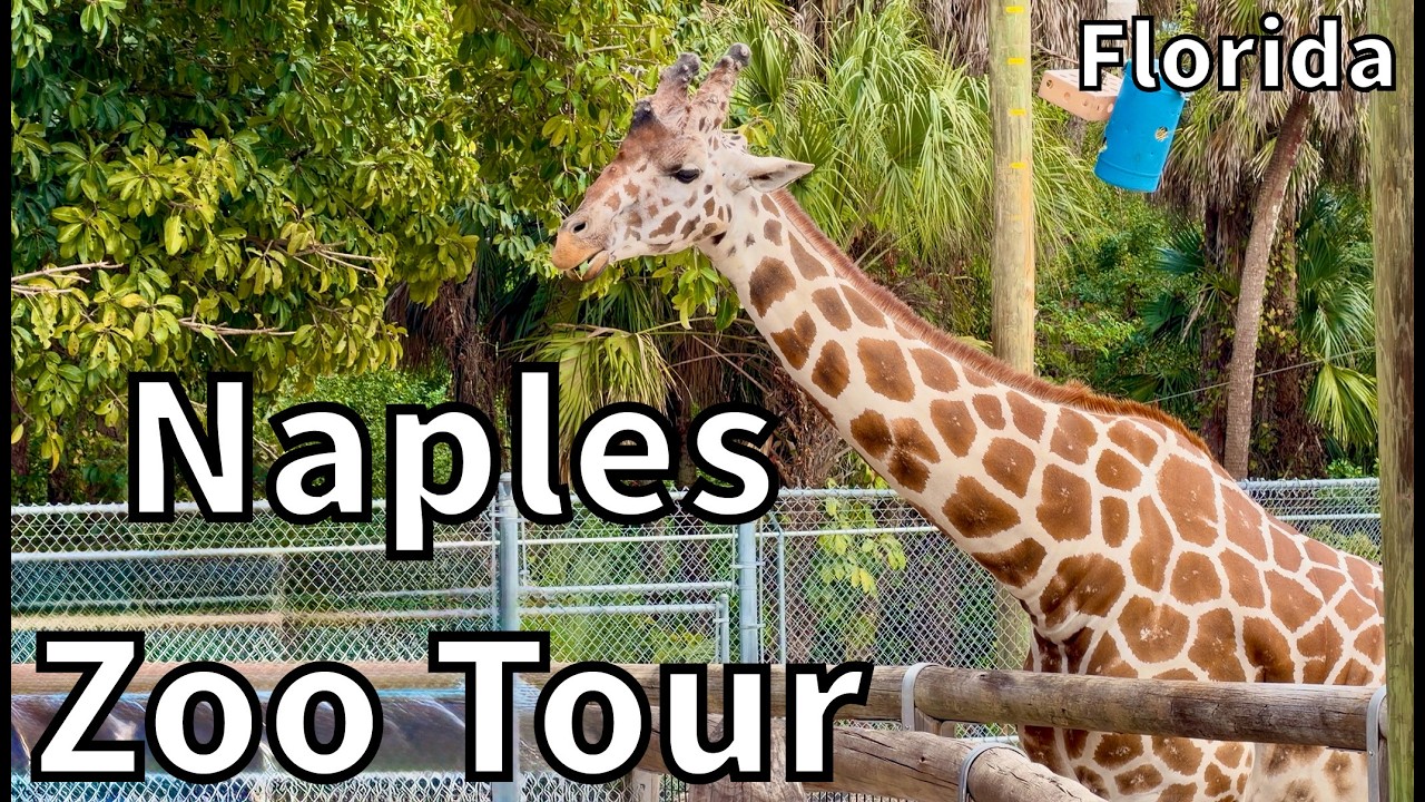 Tour of the Naples Zoo at Caribbean Gardens [2026] - Naples, Florida - USA