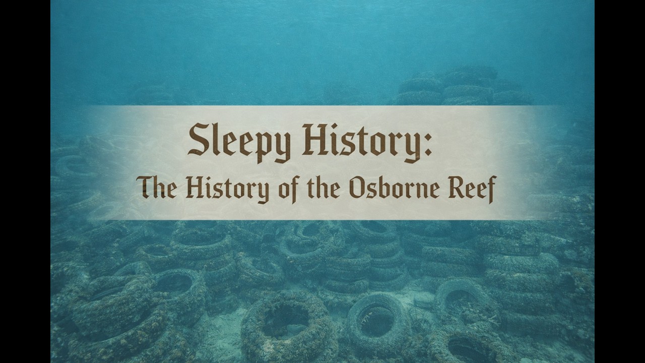 The Osborne Reef Disaster: The Story of 2 Million Tires on the Ocean Floor | Relaxing Bedtime Story