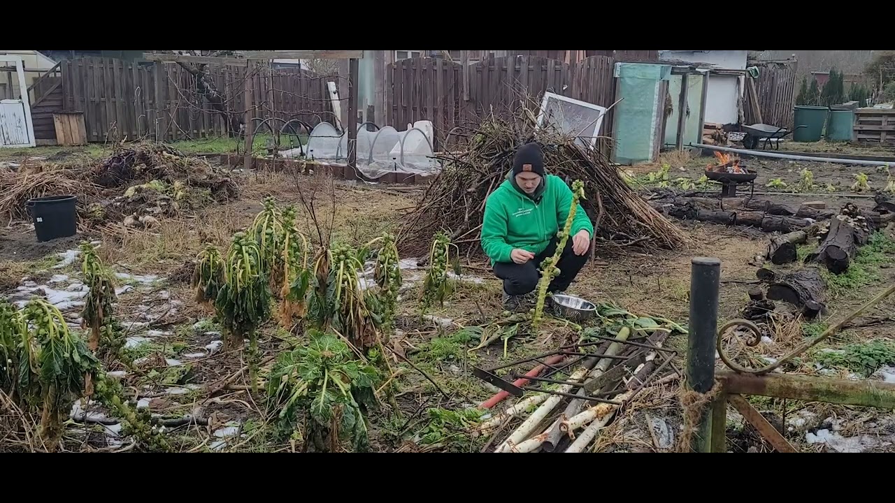 Ein Tag im Garten. Januar