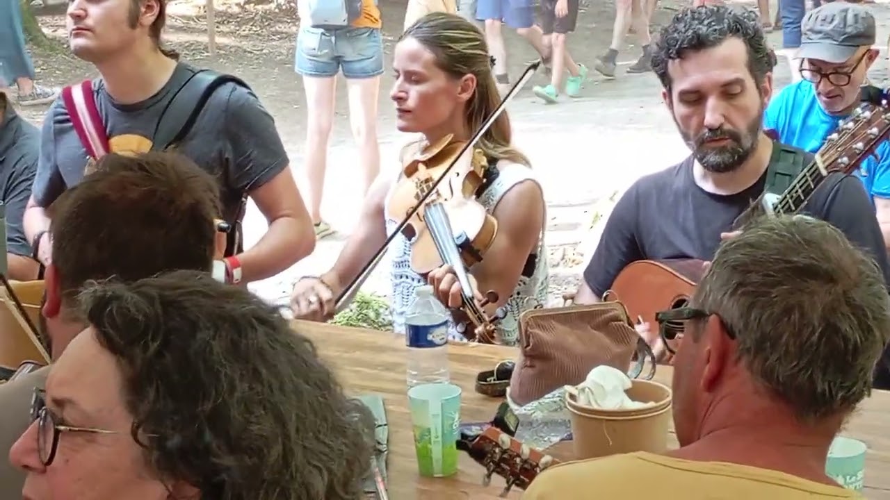 Banjo au festival du son continu 2025