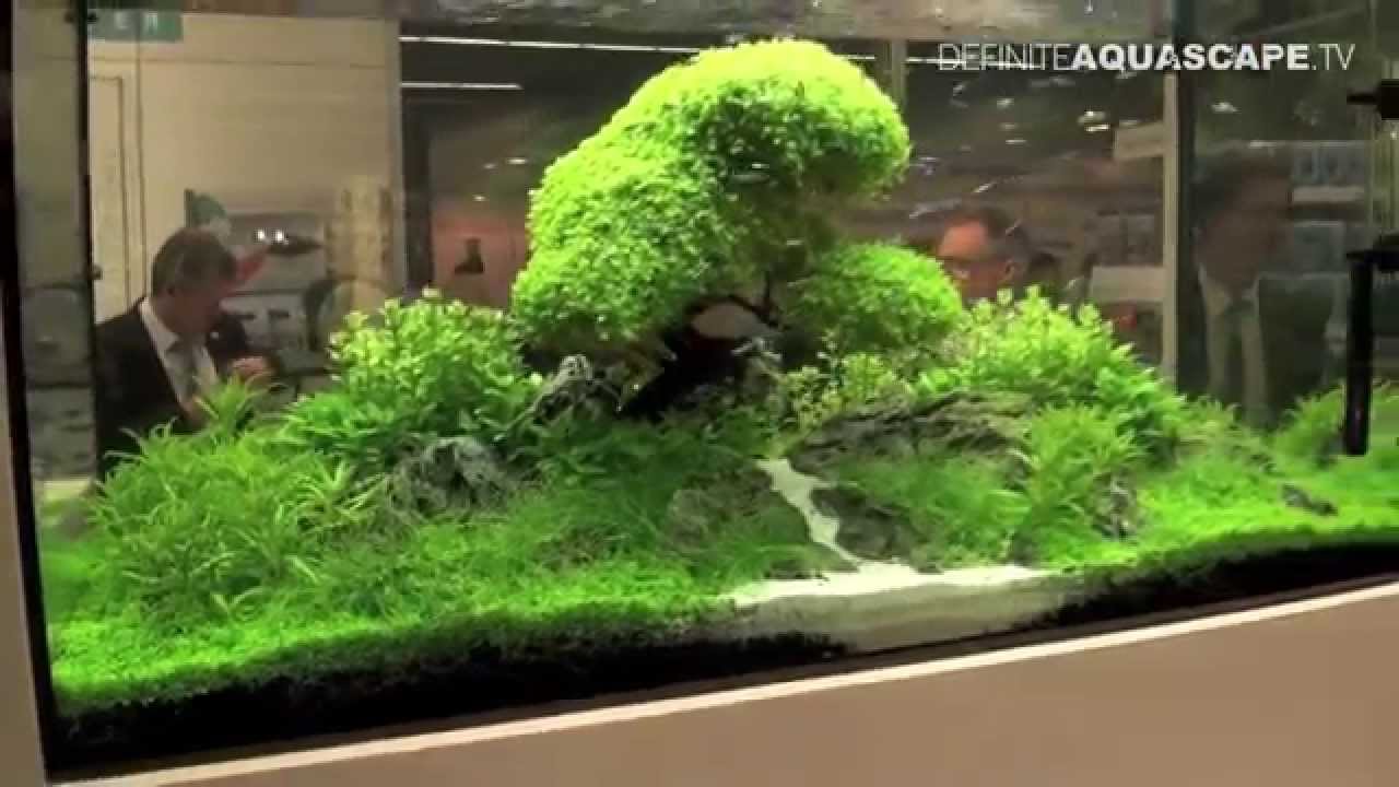 Aquarium ideas from InterZoo 2014 (pt.32) - OASE GmbH