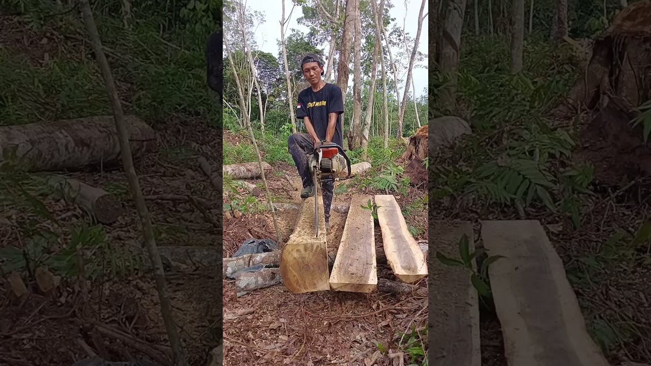 buat papan tebal ukuran 4x20x2m#pejuangrupiah #operatorchainsaw #tetapsemangat 💪