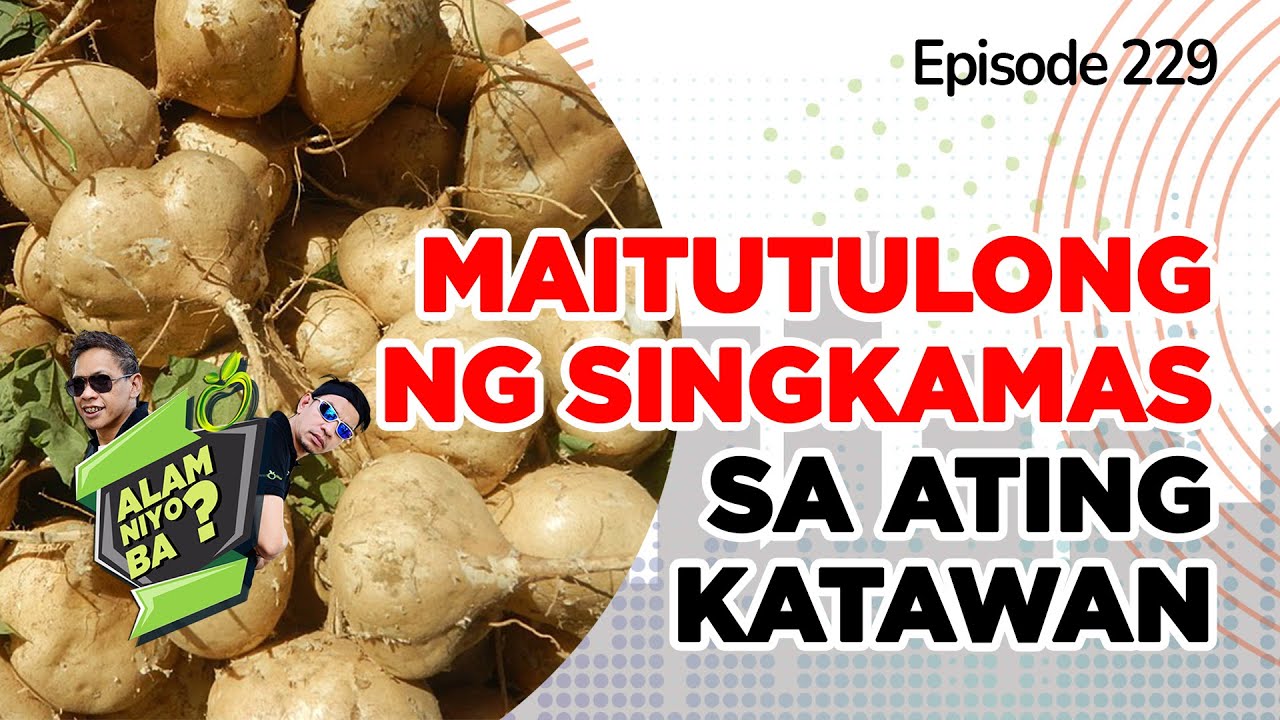 Alam Niyo Ba? Episode 229⎢‘Health and Nutritional Benefits of Turnip‘