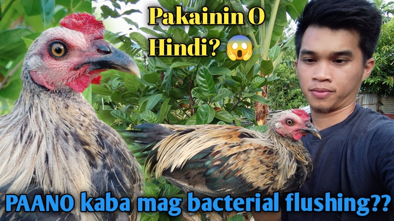 BACTERIAL FLUSHING ANONG PROCESO MO SA 5MOS OLD 😍