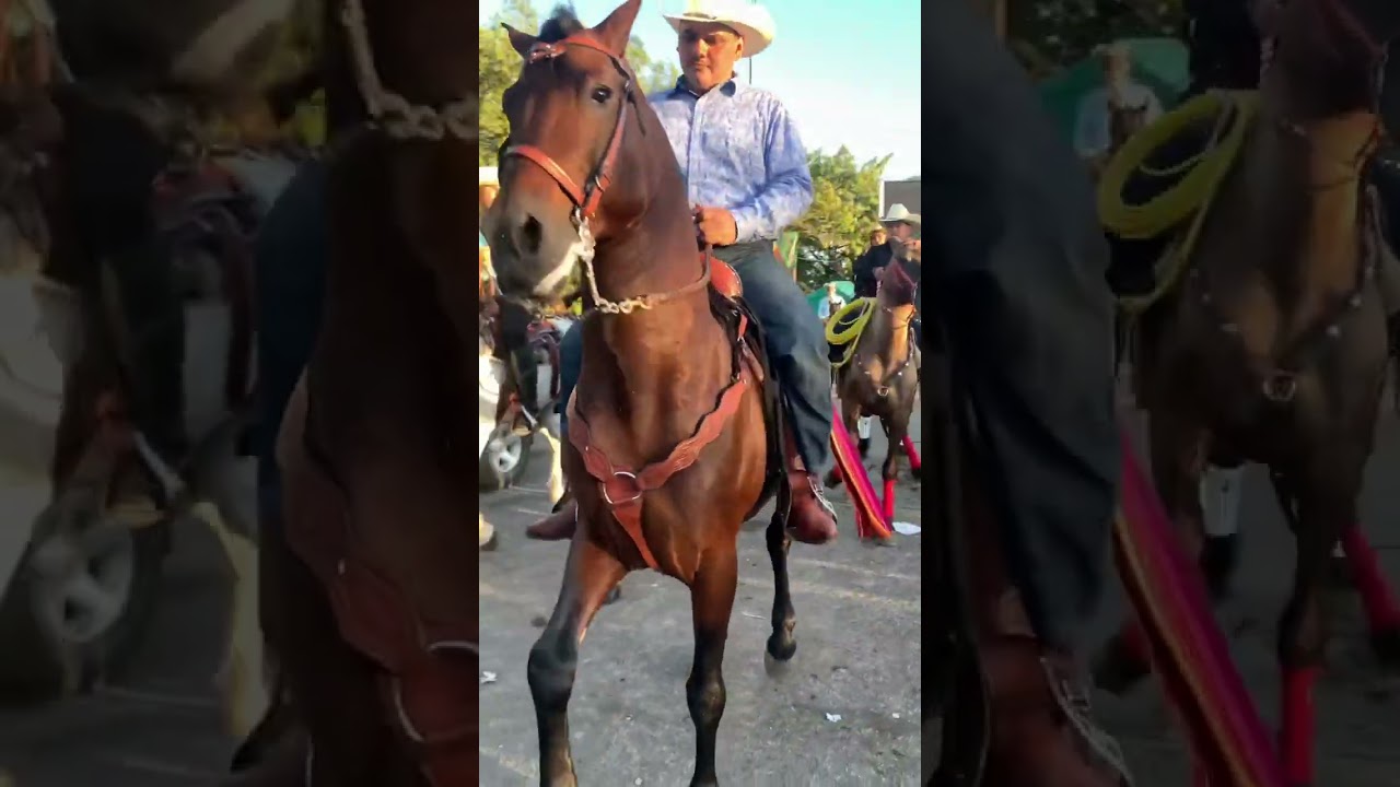 Desfile H&iacute;pico Feria Agropecuaria Esteli 2022 // Nicaragua// #2022 #viral #tiktok #viralshorts