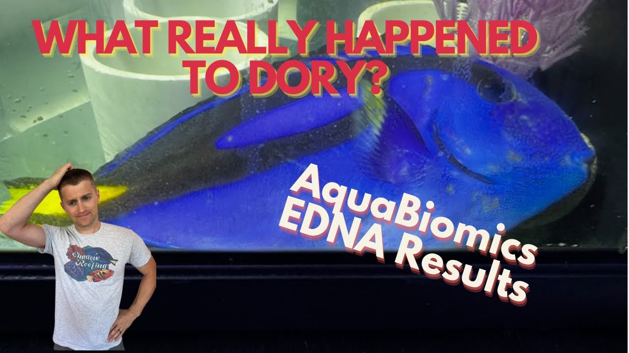 What Really Happened to Dory? AquaBiomics EDNA Results