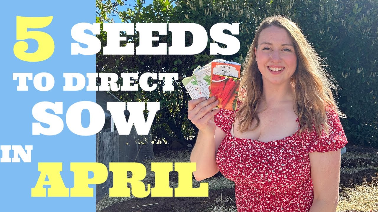 5 seeds to direct sow in April