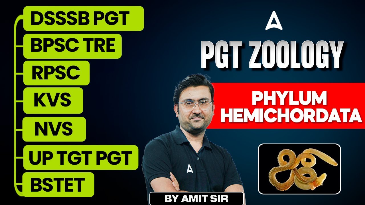 PGT Zoology For All TGT PGT Exams | Zoology - Phylum Hemichordata by Amit Sir